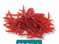 50 bis 100 Angelköder Wurm 3,5cm weiche Künstliche Gummi Angel Köder Braun Rot 7,90€ – 10,90€* in 78052