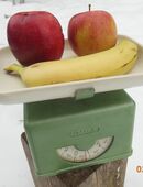 INCA - RETRO Küchenwaage - - Allgäu - TOM in 80335