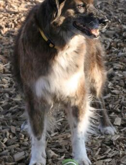 STELLA 🔥 fitte Best Agerin - Neudenau