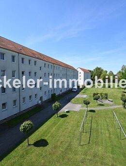 Ein überzeugendes Angebot - Lucka