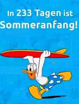 Freizeitpartner/in gesucht! - Neumünster