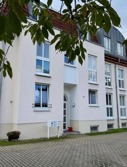 Helle Drei-Raum-Wohnung in Kleinzschachwitz! - Dresden