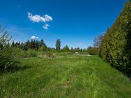 Baugrundstück in ruhiger Lage von Großschönau - Großschönau