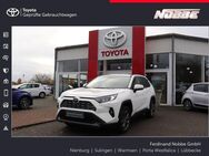 Toyota RAV 4 2.5 4x2 Hybrid Team Deutschland - Nienburg (Weser)