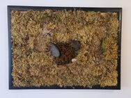 Großes 3D Natur Wandbild 75x55cm echter Stein Moos Schiefer Moosbild Naturwand - Essen