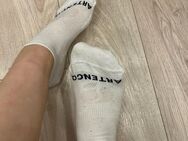 Sportsocken Damen - Herford (Hansestadt)