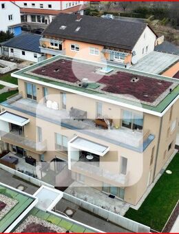 Exklusive Neubau-Wohnung in Ebermannstadt mit Terrasse - Ebermannstadt