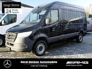 Mercedes Sprinter, 3.5 317 L2H2 t MBUX, Jahr 2023 - Heide