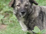 hübsche Bonnie sucht pefect match - Kallmünz