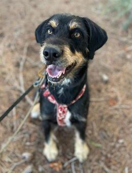 Peter sein Traum ist eine eigene Familie - Laatzen