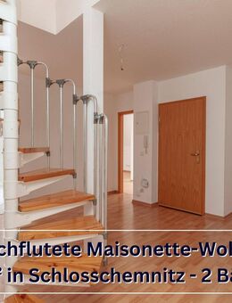 Helle lichtdurchflutete Wohnung in Schloßchemnitz mit Loftcharakter - Chemnitz