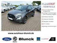 Ford EcoSport ST-Line 1.0l Ecoboost 125 PS - Ribnitz-Damgarten