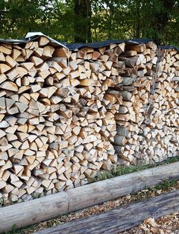 Brennholz Holz Buche Esche - Donzdorf