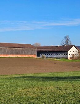 Vierseithof mit Geschichte und großem Potential - ländliches Idyll auf über 10.000 m² Grund - Wurmannsquick