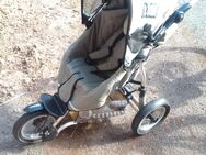 Quinny Trirad Kinderwagen - Reinbek