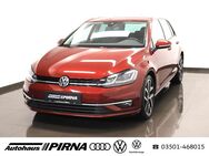 VW Golf, 2.0 TDI VII Highline, Jahr 2019 - Pirna