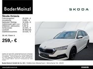 Skoda Octavia, 2.0 TDI Combi Ambition, Jahr 2021 - Feldkirchen-Westerham