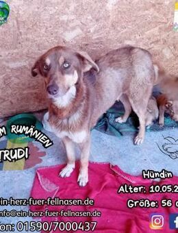 TRUDI-endlich mit Babys in Sicherheit - Waakirchen