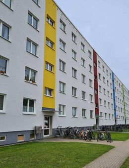 4-Raumwohnung - auch WG-geeignet - Greifswald