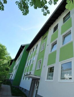 WWS - Erstbezug nach Renovierung der Wohnung - Herford (Hansestadt)