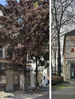 Sarstedt-Innenstadt: Attraktives Wohn- und Geschäftshaus - Sarstedt