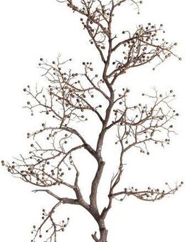 Kunstzweig Pfefferberrenzweig Zweig, Botanic-Haus, Höhe 115 cm