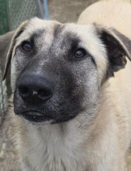 Rhianna - Große Schönheit - Obertshausen