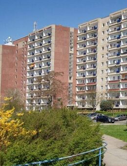 Gemütliche 2-Raum-Wohnung mit Balkon und schönem Ausblick ins Grüne - Plauen