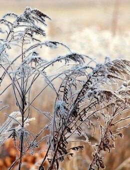 Einfamilienhaus, das selbst graue Wintertage strahlen lässt - Castrop-Rauxel