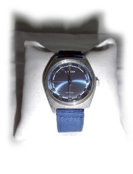 Seltene Armbanduhr von Citizen - Nürnberg