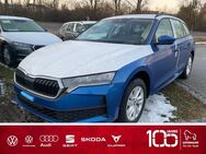 Skoda Octavia, 1.5 TSI Combi LADEN TRANSPO, Jahr 2022 - Eggenfelden