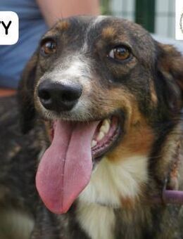 Ivy Die kleine Dame mit den großen ... - Kissing