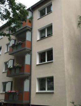 modernisierte 3-Zimmerwohnung mit Balkon in Ledeburg - Hannover