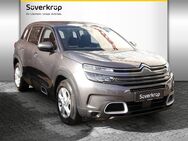 Citroën C5, 1.2 Aircross 130 LIVE, Jahr 2021 - Neumünster