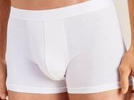 CALIDA Boxershorts Evolution mit Logoschriftzug und Softbund