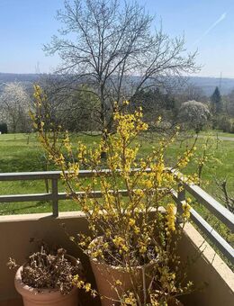 Gepflegte 3 1/2 Zimmer-Wohnung am Ende einer Sackgasse mit Blick ins Grüne! - Aichwald