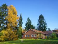 Ganz besonders und individuell! Großzügiger Bungalow mit Weitblick. - Egestorf