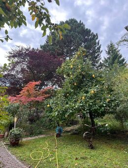 ZFH in Bestlage - Eigennutzung oder Kapitalanlage !! - Obertraubling