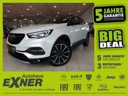 Opel Grandland X 1.6 Turbo Hybrid ULTIMATE *Navi*LED - Hof