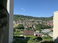 Geräumiges Apartment mit Balkon, Garage und schönem Ausblick - Rohrdorf (Baden-Württemberg)