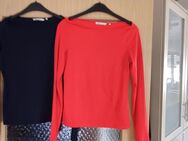 Tom Tailor zwei Shirts Gr. M - Waldbronn
