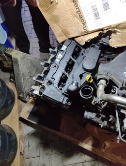 DEFEKT Seat Exeo Audi A4 2.0 TDI CAGA Motor 143 PS - Breitscheidt