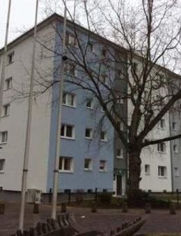 Ihr neues Zuhause: ansprechendes 1-Zimmer-Appartment - Mainz