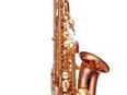 Saxophone JUPITER Profiklasse Altsaxophon JP 969 GL-RB in Es, Neuware in 31558