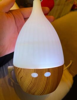 Diffuser Vernebler für Ätherische Öle - Halle (Saale)