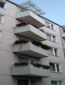 Gemütliche 3-Zimmeri-Wohnung mit Balkon in Innenstadt BS! Küche u. Laminat können vom Vormieter übernommen werden! - Braunschweig