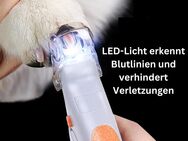 TRENDMOPS PAWZCARE - Krallenschere Nagelschere LED Krallen Pfoten Licht Blutlinie Hunde Katzen - Oldenburg