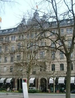 Goldenes Kreuz ~ Penthouse - Stadtwohnung - Baden-Baden