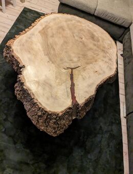 Couchtisch Baumstamm Tisch Baumscheiben Ca.120cm - München