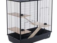 TIAKI Nagerkäfig Rodi - L 100 x B 54 x H 100 cm